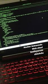 ISP Log Management and Deletion Methods from Servers: Technical Guide and Application Handbook